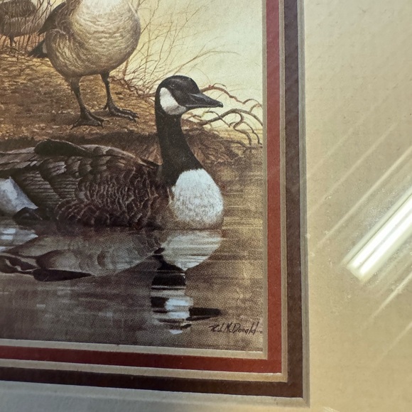 R.J. McDonald Gabby's Farm Canadian Honker Art Print 9 X 7.5 In. Double Matted - Picture 8 of 8